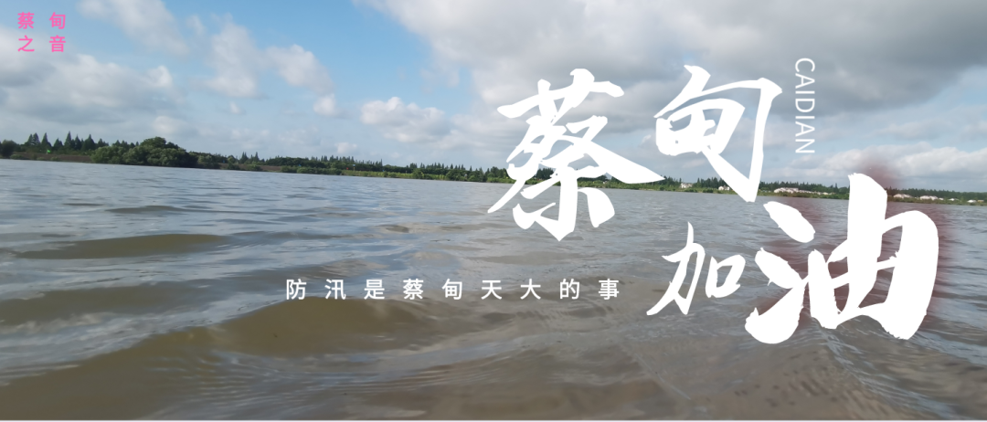蔡甸區啟動防汛ⅰ級應急響應，做好鋪土釘防汛木樁工作