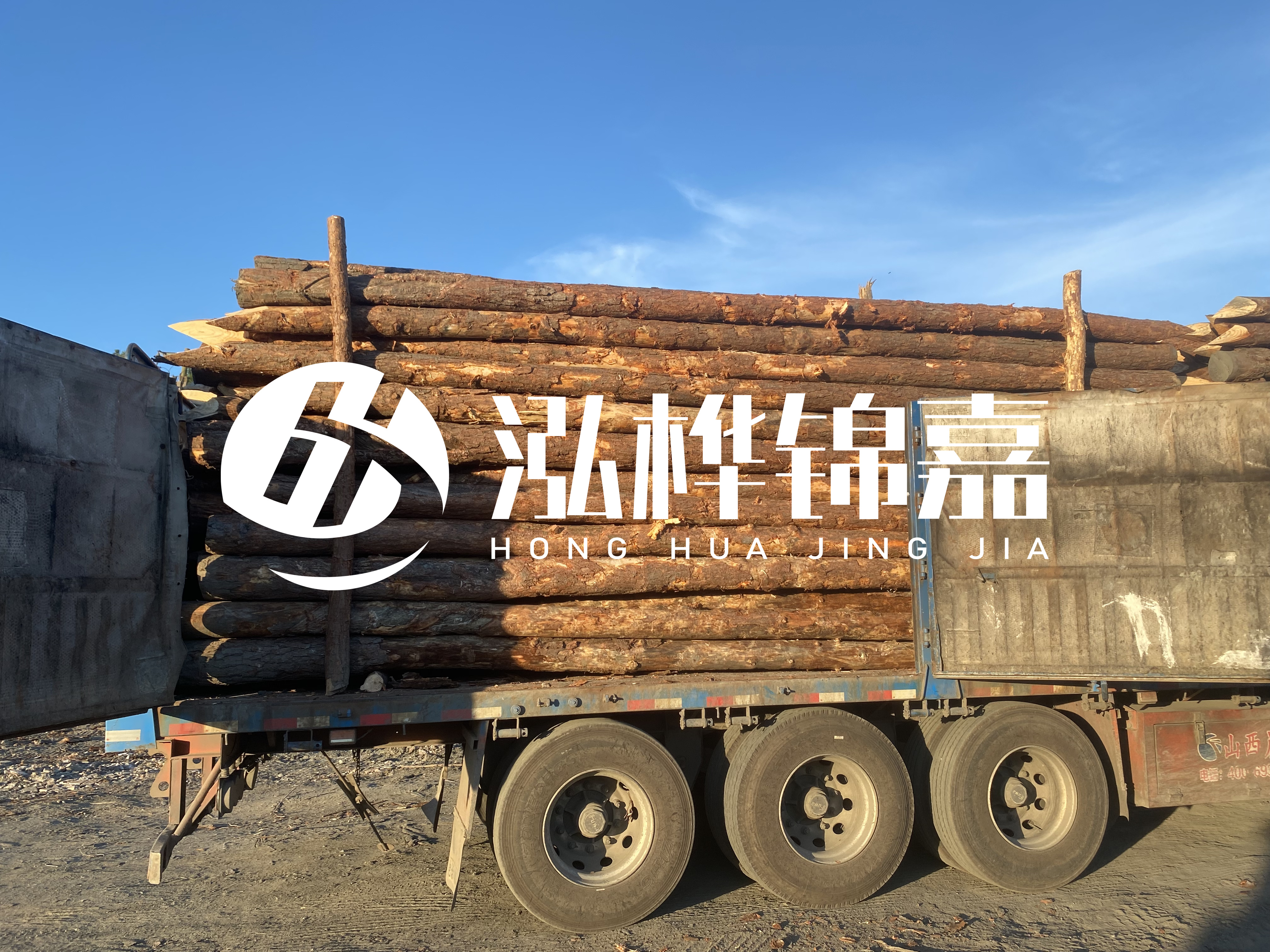 河道治理為什么要用松木樁？