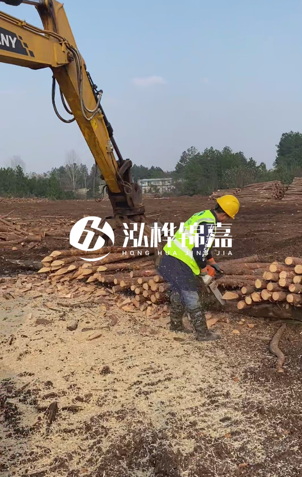銅陵挖機打木樁專業施工-打松木樁一般算米還是算根？