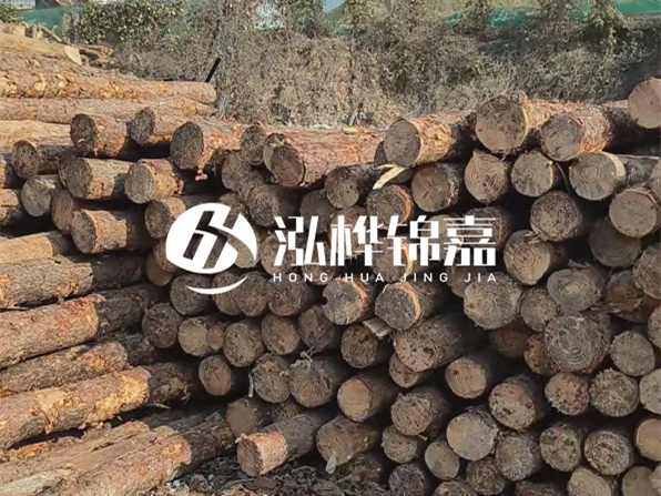 落葉松木材的主要產(chǎn)地在哪里？為什么比其他松木更耐腐蝕？