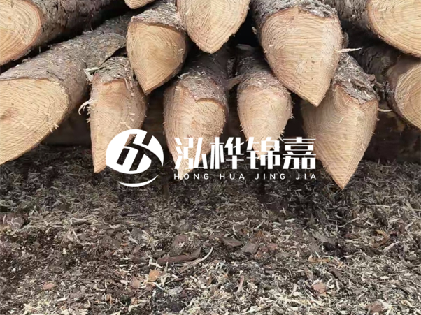打樁木樁與鋼樁相比有哪些優缺點？如何進行后期維護？