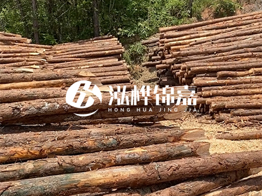 松木樁的運(yùn)輸費(fèi)用是否包含卸車費(fèi)？卸貨時(shí)需要注意哪些安全問(wèn)題？