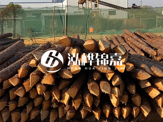 松木樁6米15cm打樁多少錢一根-專業(yè)打木樁隊聯(lián)系電話？