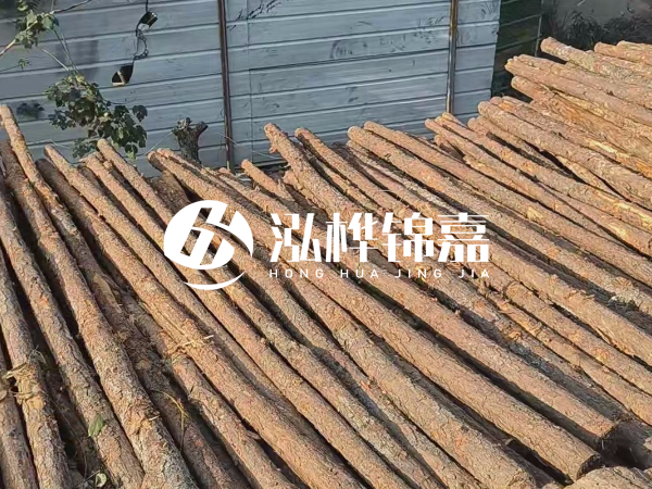 松木樁打樁后清淤怎么處理？有沒有全包的公司？