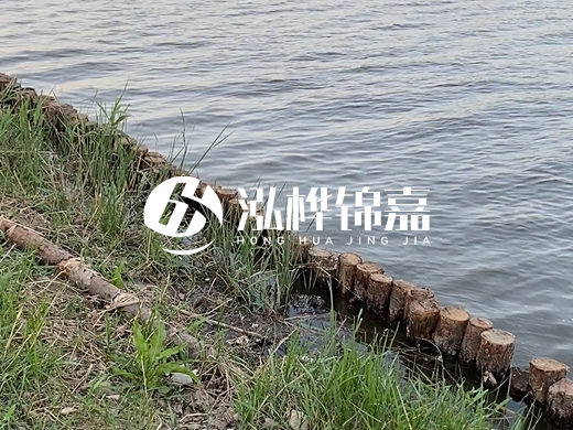 防洪松木樁施工重要性？河道打木樁的位置怎么確定？